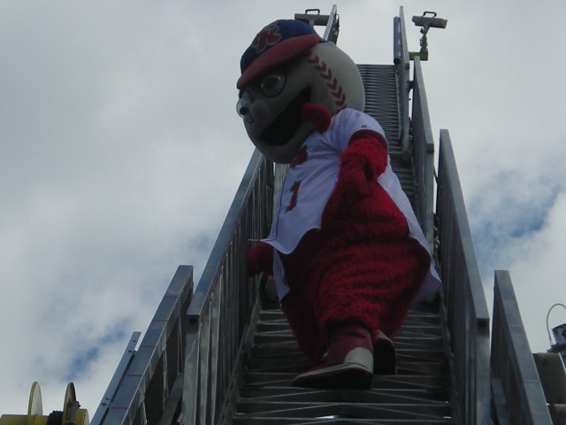 Screwball, the Reading Phillies Mascot is a good climber